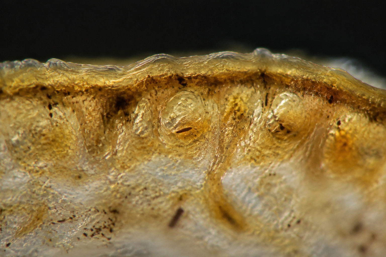 Photorealistic macro view of skin cross-section showing clogged pores and accelerated cell turnover during retinol purge